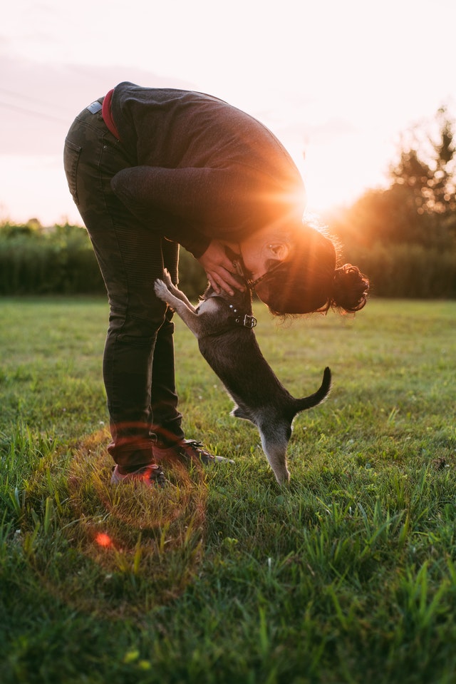 Hugging Puppy - Natures Rules