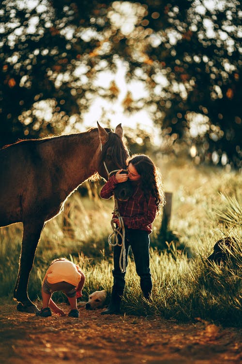 Horse and Owner in Field - Natures Rules